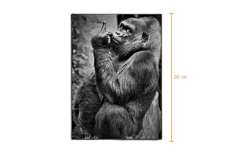 Tableau toile drôle singe gorille doigt d'honneur noir et blanc 20x30cm