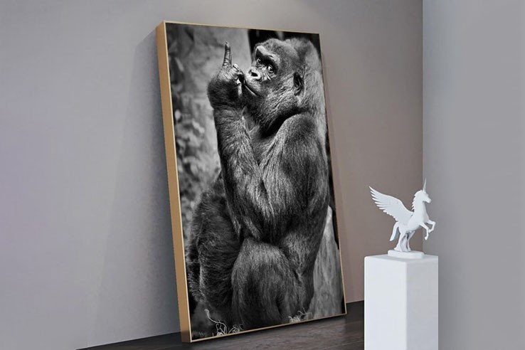 Tableau toile drôle singe gorille doigt d'honneur noir et blanc 20x30cm